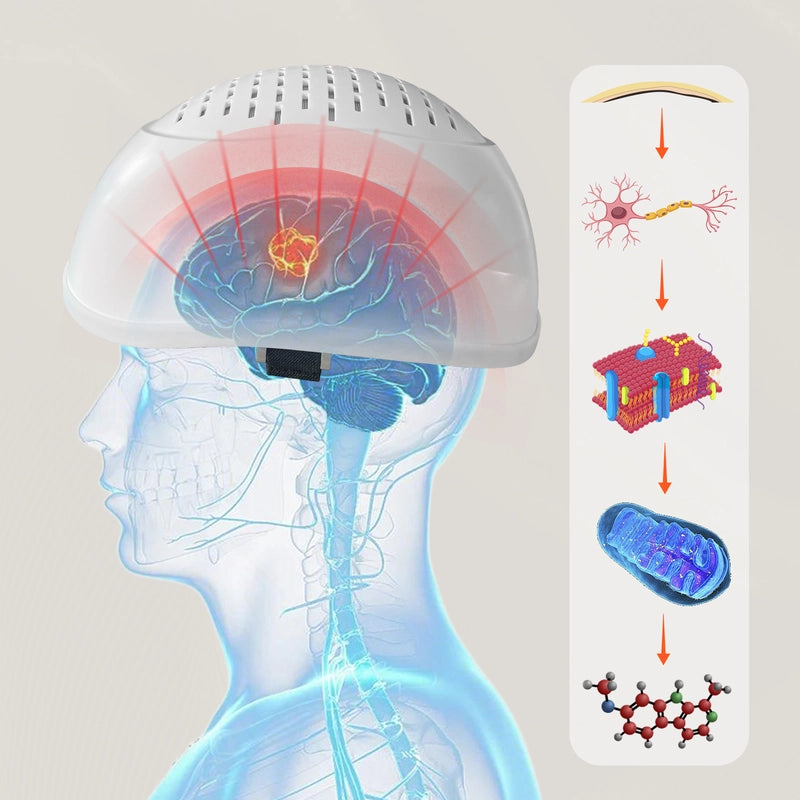 ZJKC 810nm 1070nm Near Infrared Photobiomodulation Therapy Helmet for Brain Health