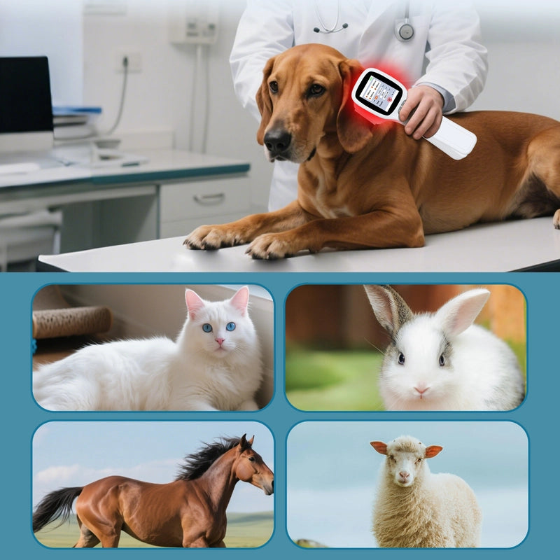 ZJKC Red Light Device for Humans & Dogs, Low Level Light for Pain-Related Comfort