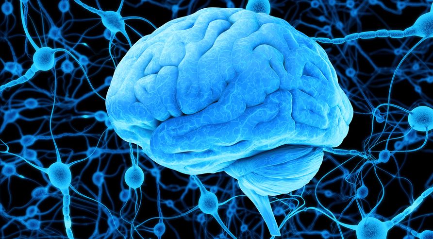 brain disorder and nervous system
