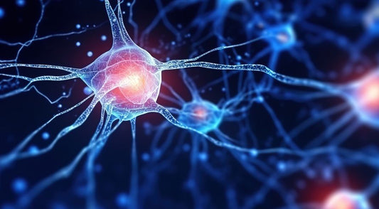 epilepsy-nerve-simulation