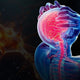 γ-Neuromodulation: Unveiling Biomarkers for Neurological and Psychiatric Disorders