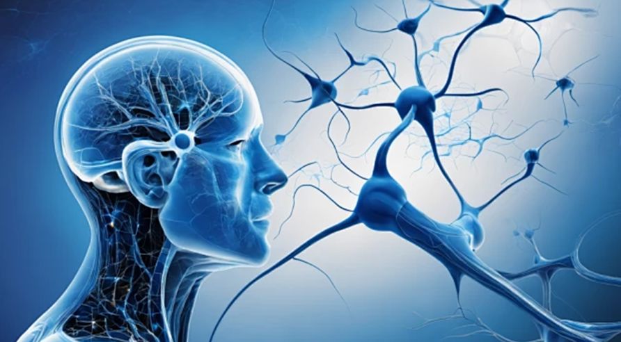 brain disease-rTMS-nerve