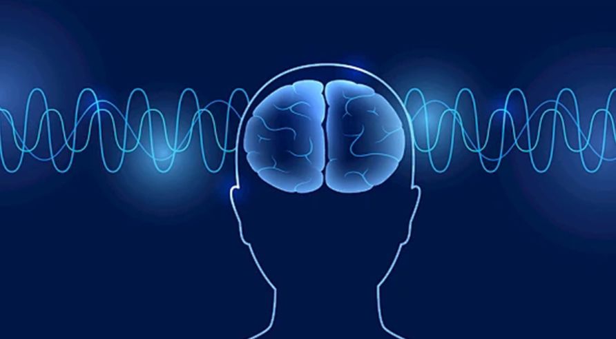 brain wave-rTMS-mind