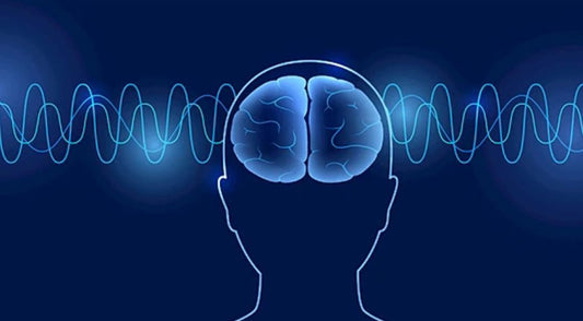 brain wave-rTMS-mind