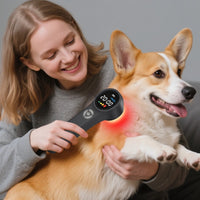 ZJKC Handheld Laser Pain Treatment Device
