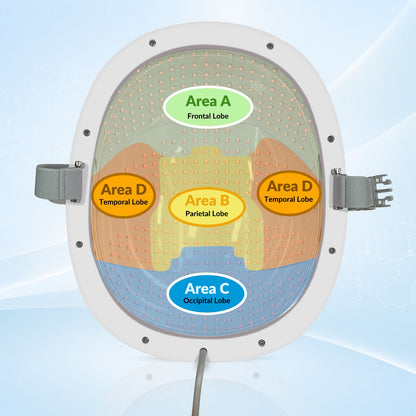 ZJKC 1070nm 810nm Near Infrared Light Therapy for Brain Health Stroke Alzheimer Treatment Improve Memory